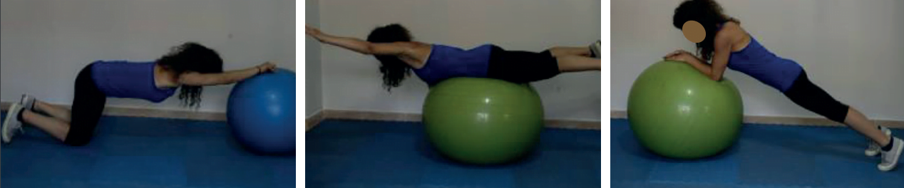 scienze motorie 19 scienze motorie 19