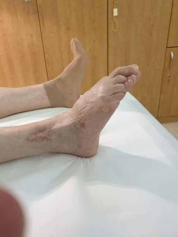 Screenshot 2024 07 15 alle 16.46.03 Foto 5