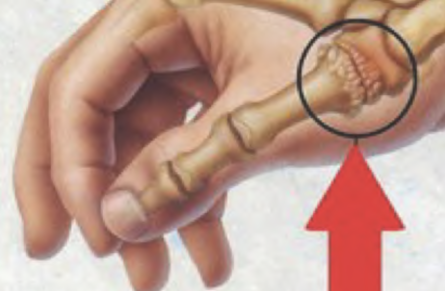 Screenshot 2025 11 13 alle 13.56.46